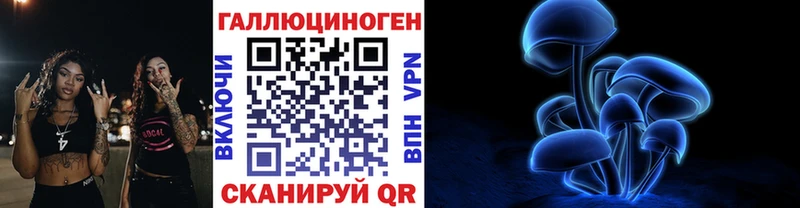 Галлюциногенные грибы Psilocybine cubensis  купить наркотик  Нижний Новгород 